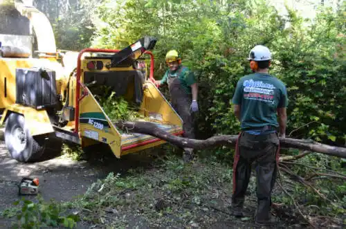 tree services Farley